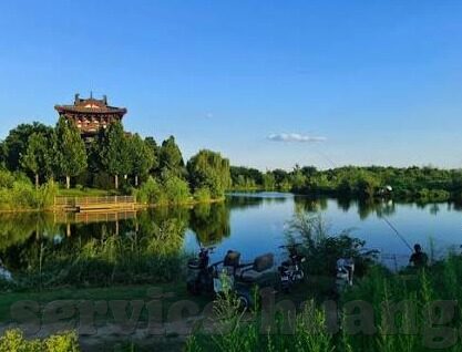 足球比分ie你-从足球比分ie你到深度球迷，一场关于足球数据与情感共鸣的探索之旅